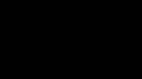 Snapshot of treeguyroc chatting on 5, 3, 2026 treeguyroc online show from 5, 3, 2026