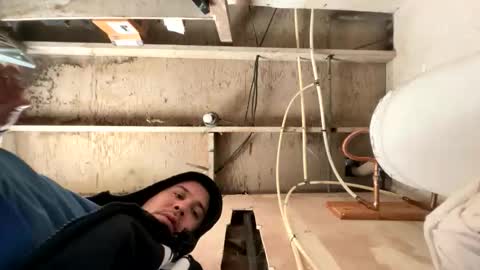 trees559 online show from 2, 3, 2026