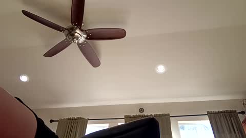 Snapshot of trillnonymau5 chatting on 21, 12, 2024 trillnonymau5 online show from 21, 12, 2024