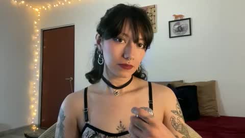 Snapshot of trinitysecrets chatting on 3, 3, 2026 trinitysecrets online show from 3, 3, 2026