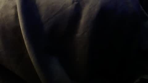 Trmdstrong online show from 3, 12, 2025