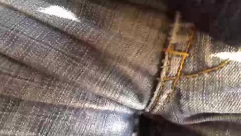 trobelle online show from 18, 11, 2025