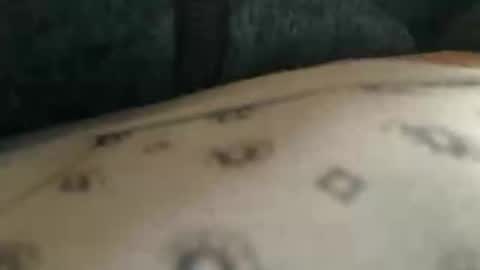 trobelle online show from 25, 11, 2025