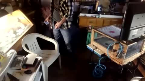 trypodman online show from 23, 12, 2024