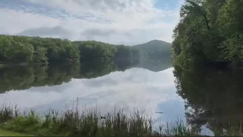 Treistoph online show from 21, 2, 2026