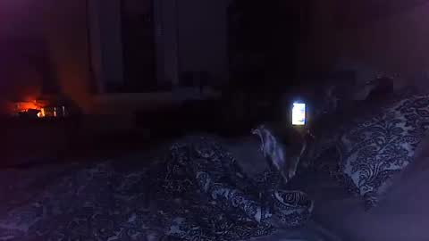 Snapshot of tsamberwhite007 chatting on 29, 10, 2025 Amber White online show from 29, 10, 2025