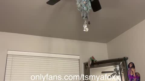 Snapshot of tsfoxx chatting on 11, 12, 2024 tsfoxx online show from 11, 12, 2024