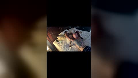 tslizzy0084 online show from 29, 3, 2026