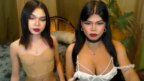 twinktransshanel online show from 20, 10, 2025