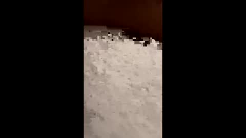 txcouple281 online show from 16, 11, 2025