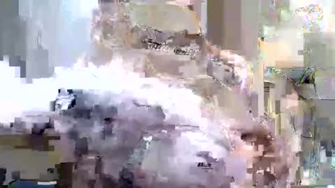 tyfinns69568194 online show from 21, 4, 2026