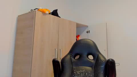     online show from 2, 3, 2025