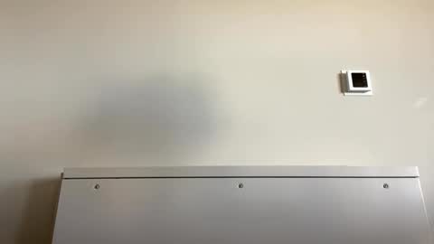 Snapshot of tylercameron28 chatting on 21, 9, 2025 TylerC online show from 21, 9, 2025