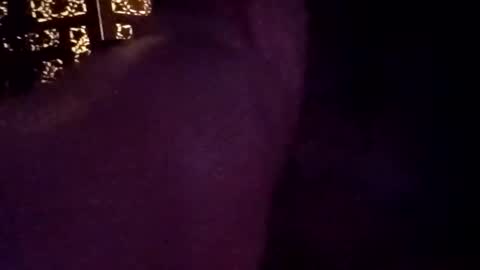 tylerdowell10111 online show from 15, 4, 2026