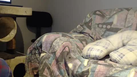 Helena and Tyson online show from 22, 2, 2025