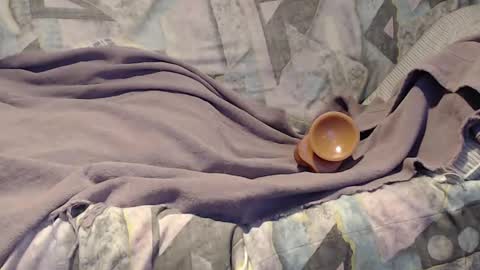 Helena and Tyson online show from 21, 9, 2025