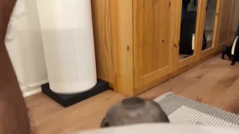 Snapshot of umberto2015 chatting on 4, 12, 2024 Umberto2015 online show from 4, 12, 2024