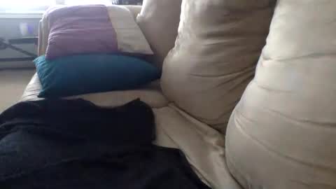 Buzz Bigcock online show from 5, 3, 2025