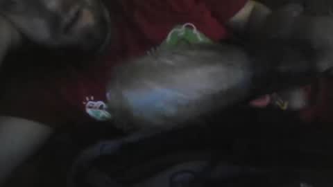 UncutGem online show from 17, 12, 2025