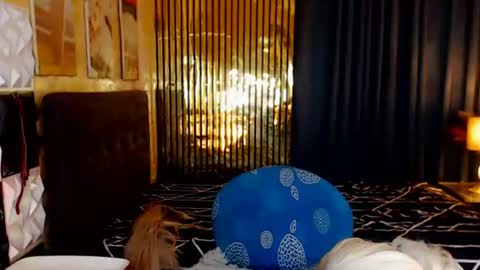 Snapshot of unforgettablebrianna chatting on 1, 7, 2026 BRIANNA online show from 1, 7, 2026