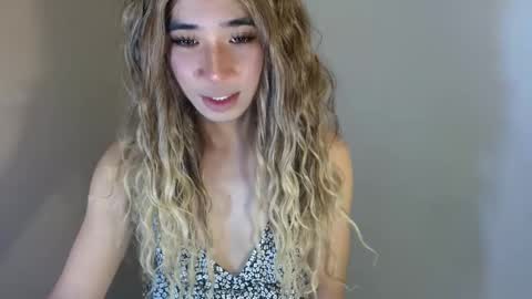 Bib online show from 20, 4, 2026