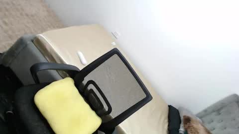 Amira online show from 26, 2, 2025