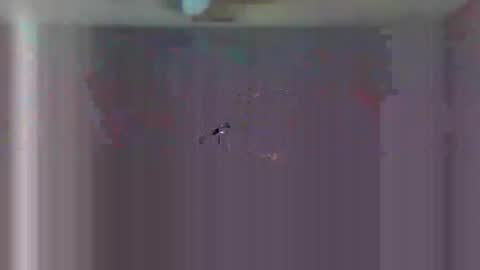 Snapshot of urls2025 chatting on 23, 11, 2025 urls2025 online show from 23, 11, 2025