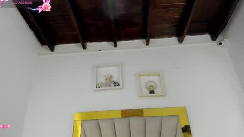 vahioleth  online show from 17, 3, 2026