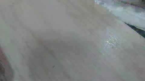 vainilla2025 online show from 14, 1, 2026