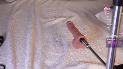   online show from 3, 12, 2024