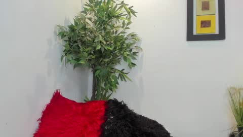 valeri_tafur online show from 12, 11, 2025