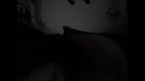 Snapshot of valeria06 chatting on 15, 2, 2025 Valeria online show from 15, 2, 2025