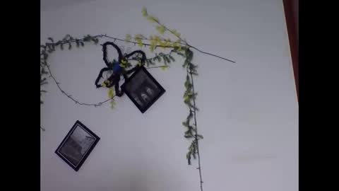 Snapshot of valery_honey_ chatting on 2, 6, 2026 valery_honey_ online show from 2, 6, 2026