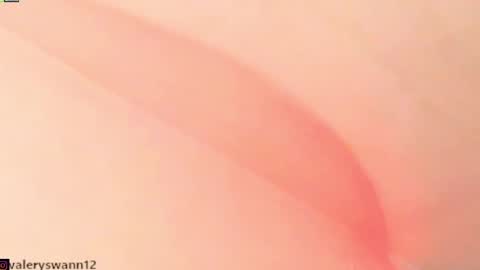 Snapshot of valery_swan1 chatting on 20, 12, 2024 Valery swan1 online show from 20, 12, 2024