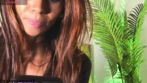 Snapshot of valery_swan1 chatting on 22, 2, 2025 Valery swan1 online show from 22, 2, 2025