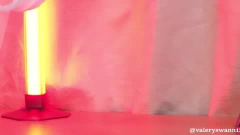 Snapshot of valery_swan1 chatting on 24, 9, 2025 Valery swan1 online show from 24, 9, 2025