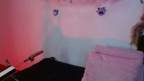 zoe online show from 15, 11, 2025