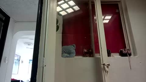   ---   online show from 31, 1, 2025