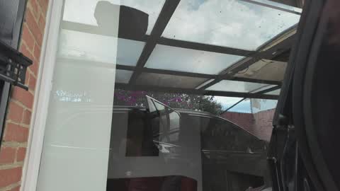 vanessa online show from 3, 4, 2026