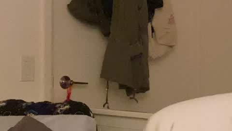 Vanessa  online show from 24, 12, 2024