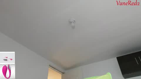 Snapshot of vanessared2 chatting on 15, 2, 2026 Vanesared2 online show from 15, 2, 2026