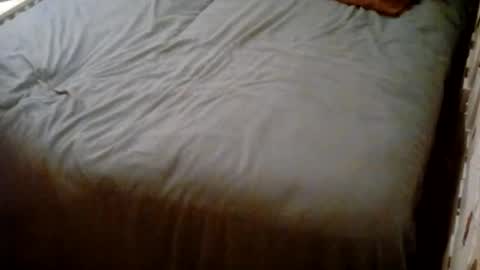 Usagi online show from 25, 10, 2025