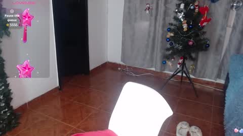 vane online show from 22, 12, 2024