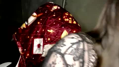 Var Kiss online show from 14, 2, 2026