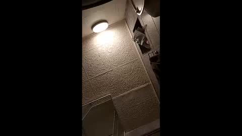 vasi06 online show from 12, 4, 2026