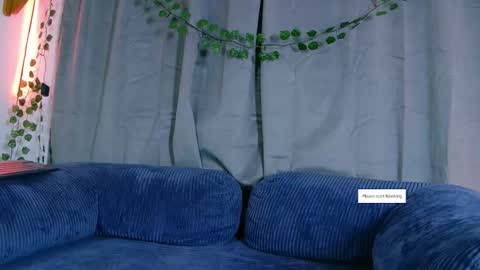 Vayolett online show from 13, 11, 2025