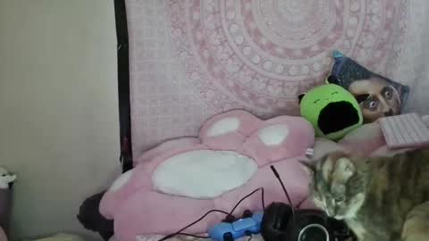 Veronica Lehane online show from 9, 1, 2025