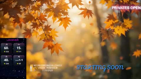 vegas_romance online show from 11, 11, 2025