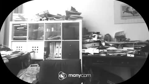 Snapshot of vejun2025 chatting on 11, 9, 2025 vejun2025 online show from 11, 9, 2025