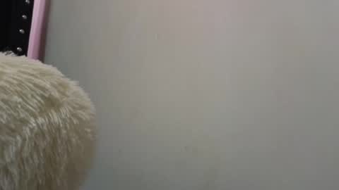 Snapshot of vel_zola chatting on 17, 12, 2024 zola online show from 17, 12, 2024
